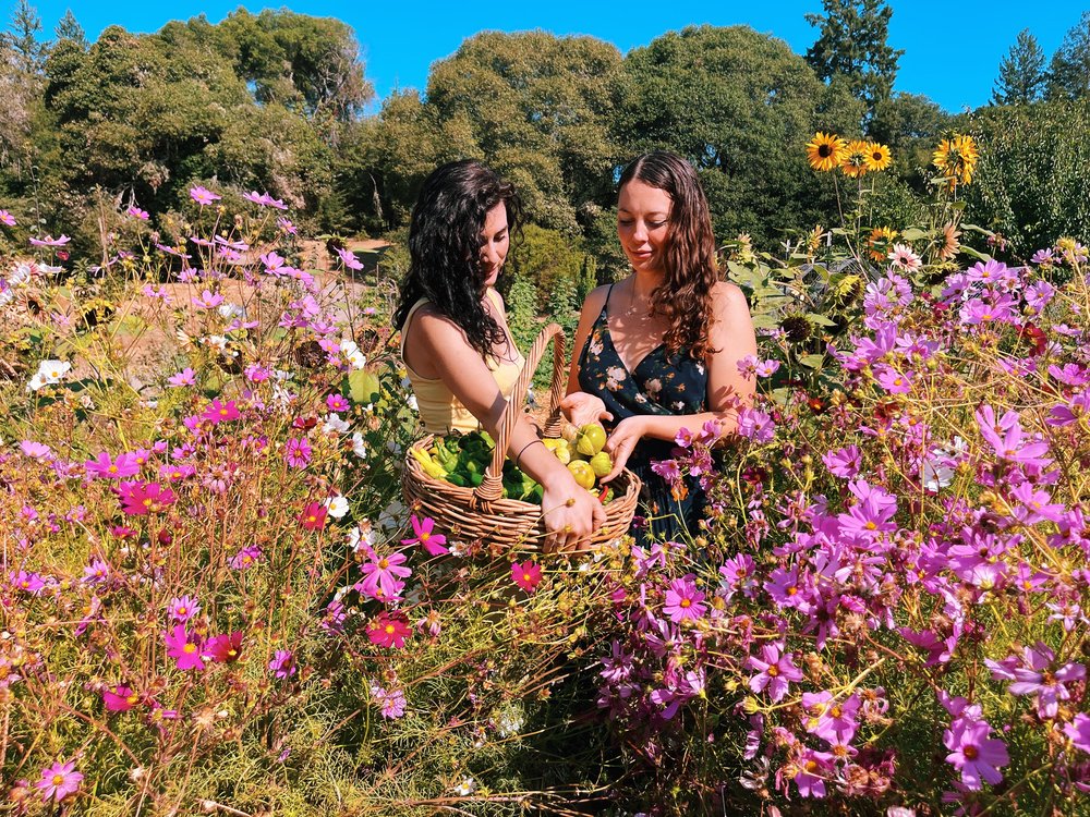 Guests gathering in the flower garden at True North on the Land