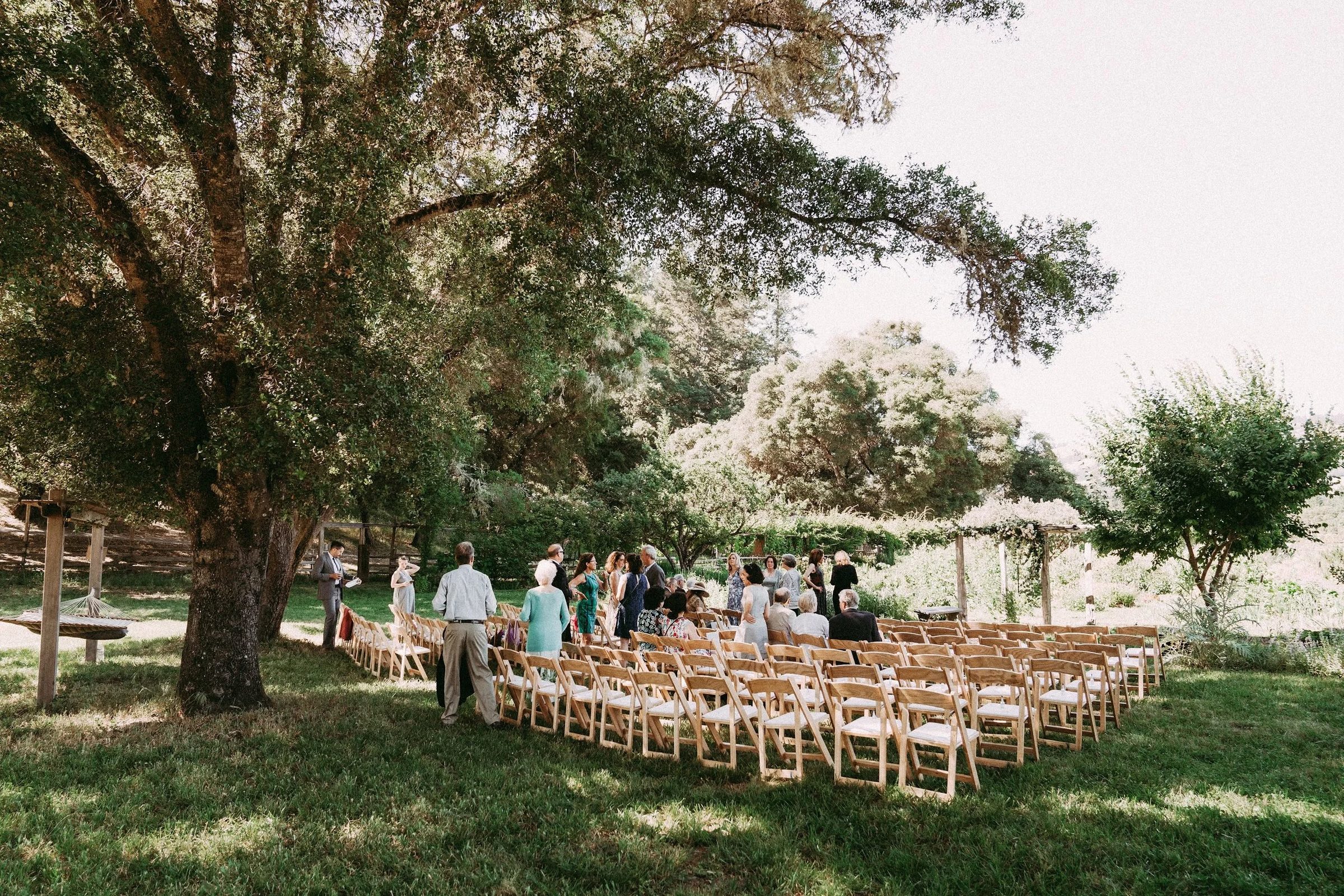 Ceremony in the meadow