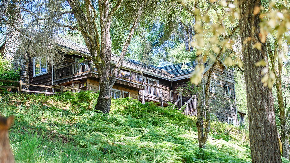 The redwoods and grounds surrounding the retreat
