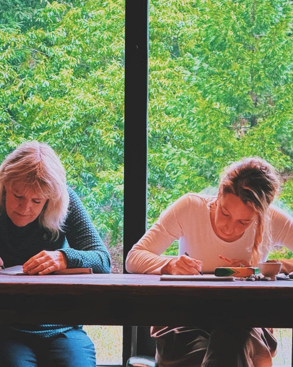 Writing at the window desk above the trees