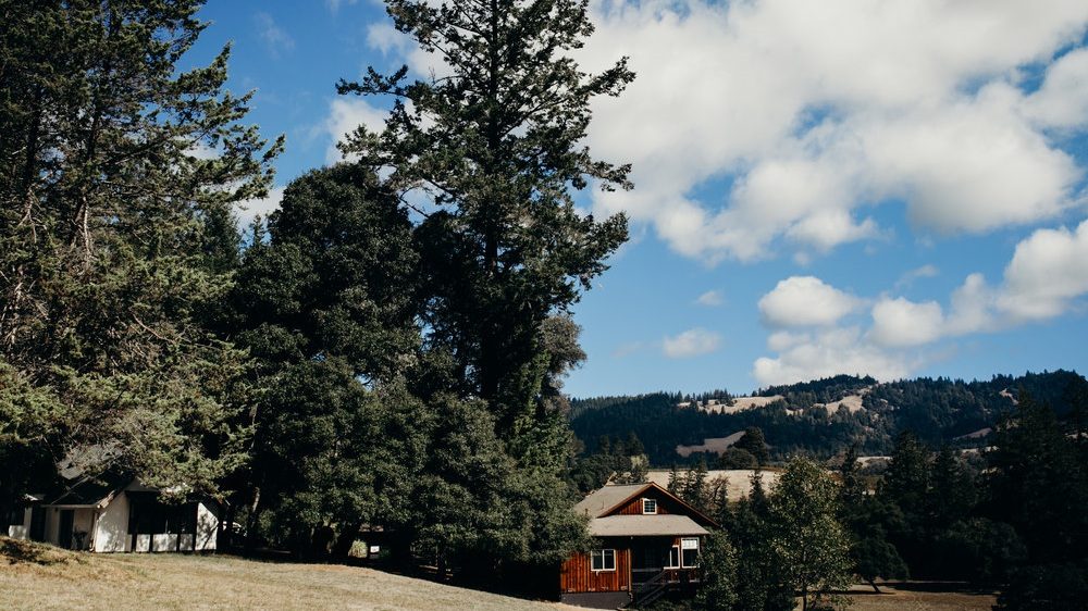 Meadow and landscape at The Land in Anderson Valley
