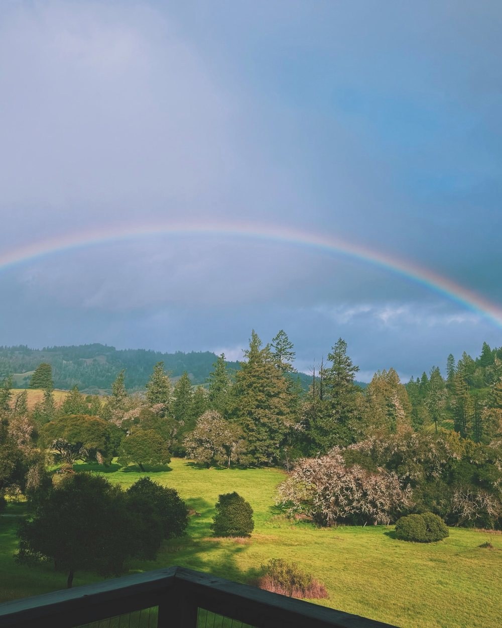 Rainbow over the valley after rain