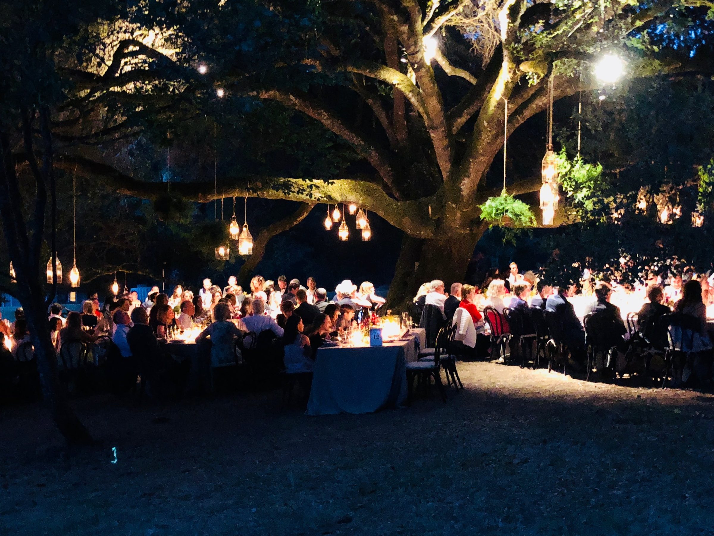 Ceremony beneath the towering oak