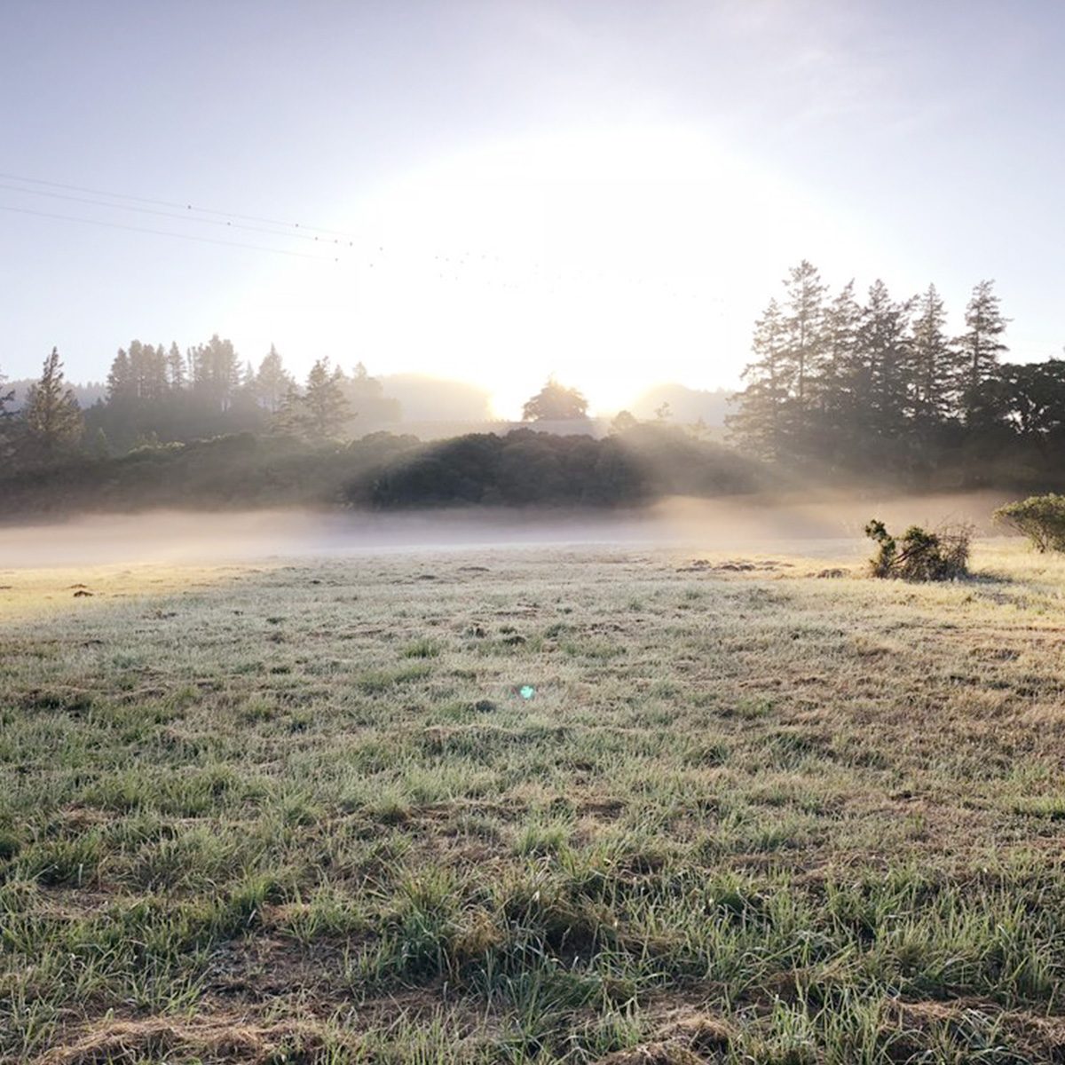 The Land — photograph 17