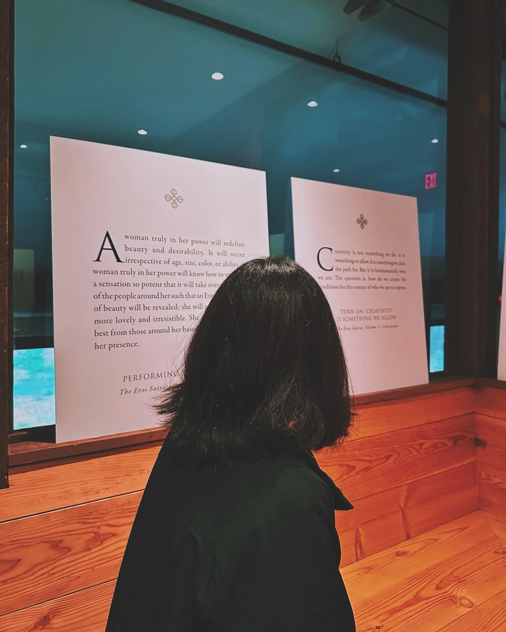 Reading the panels in the hall
