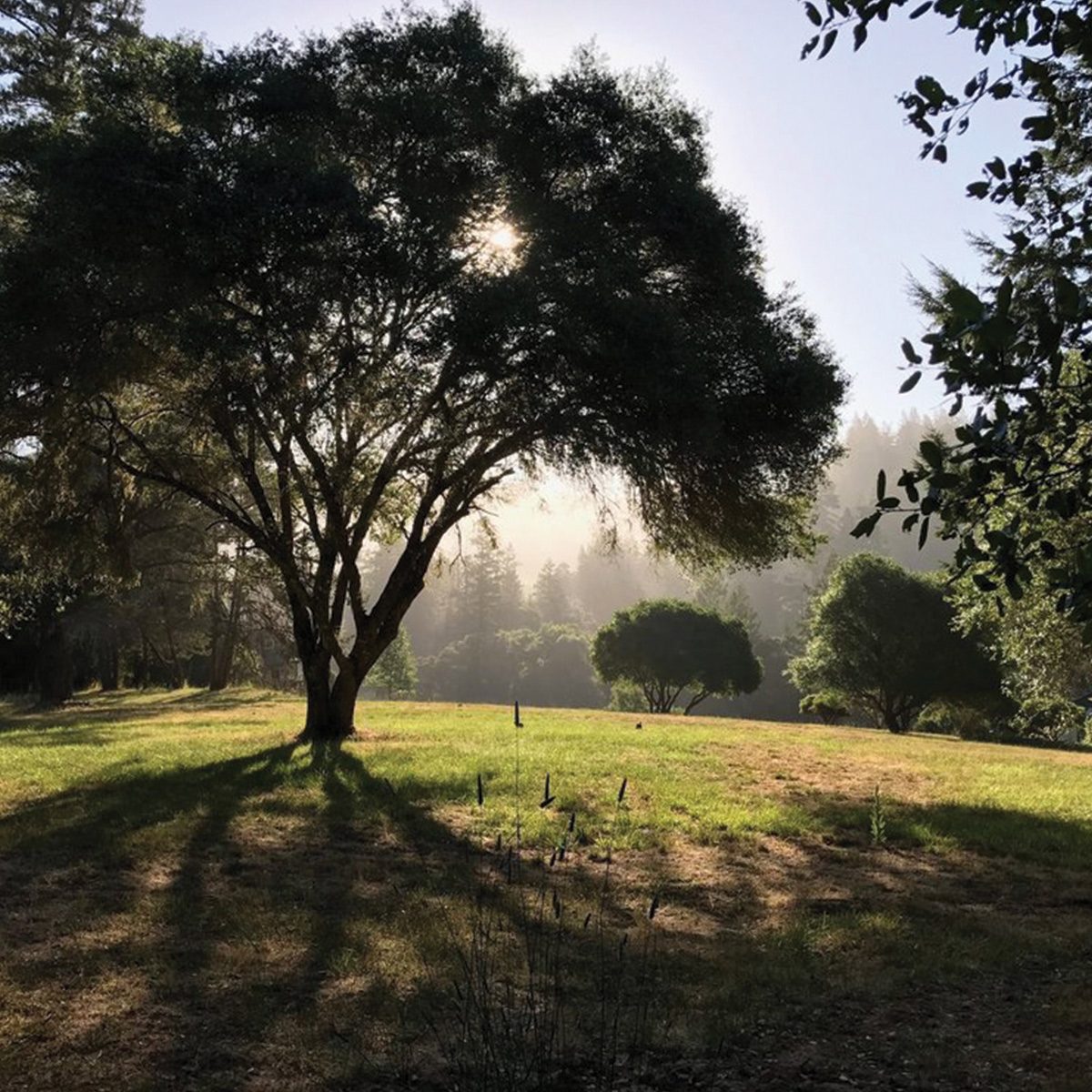 The Land — photograph 1