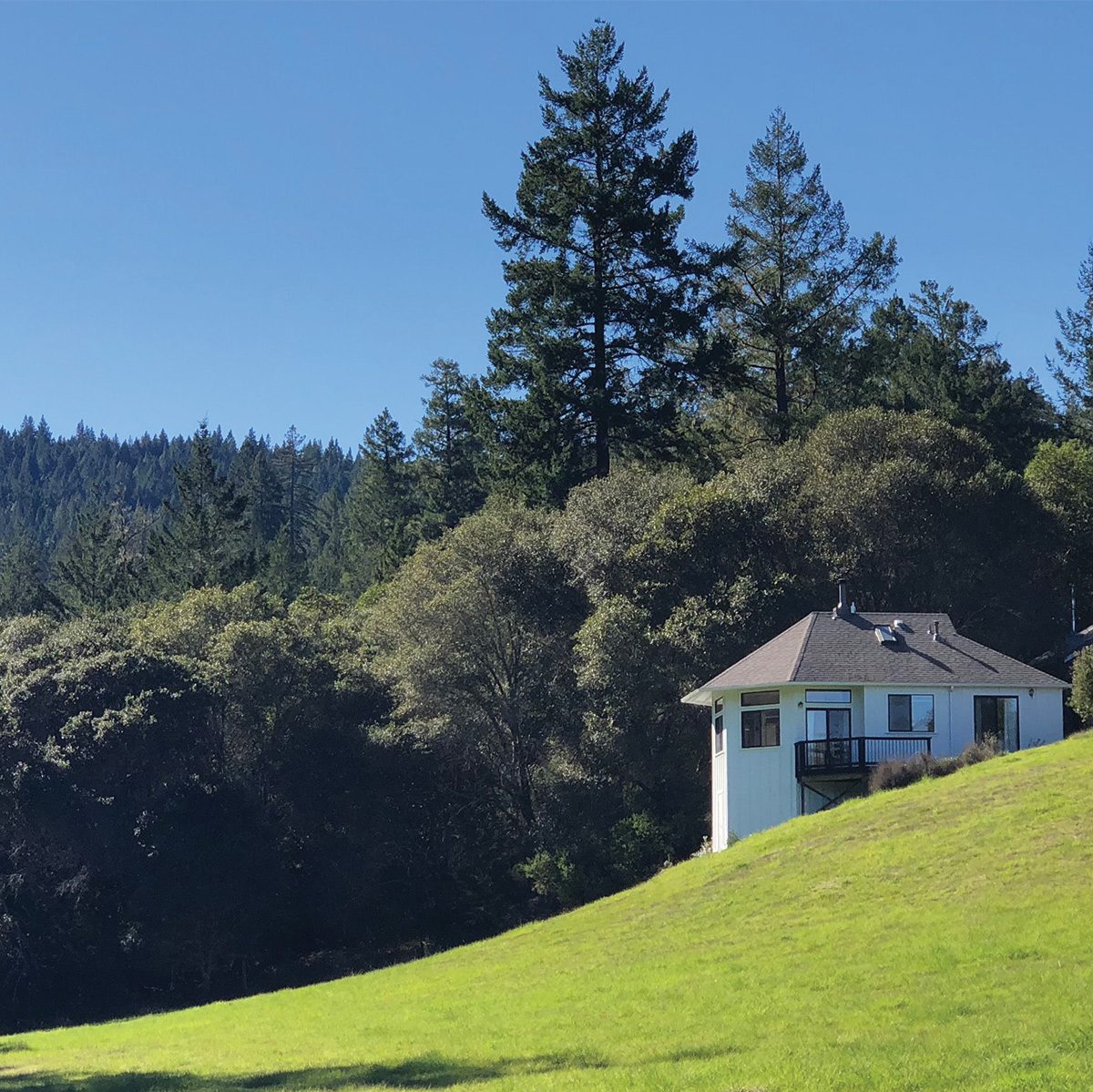 The Land — photograph 16