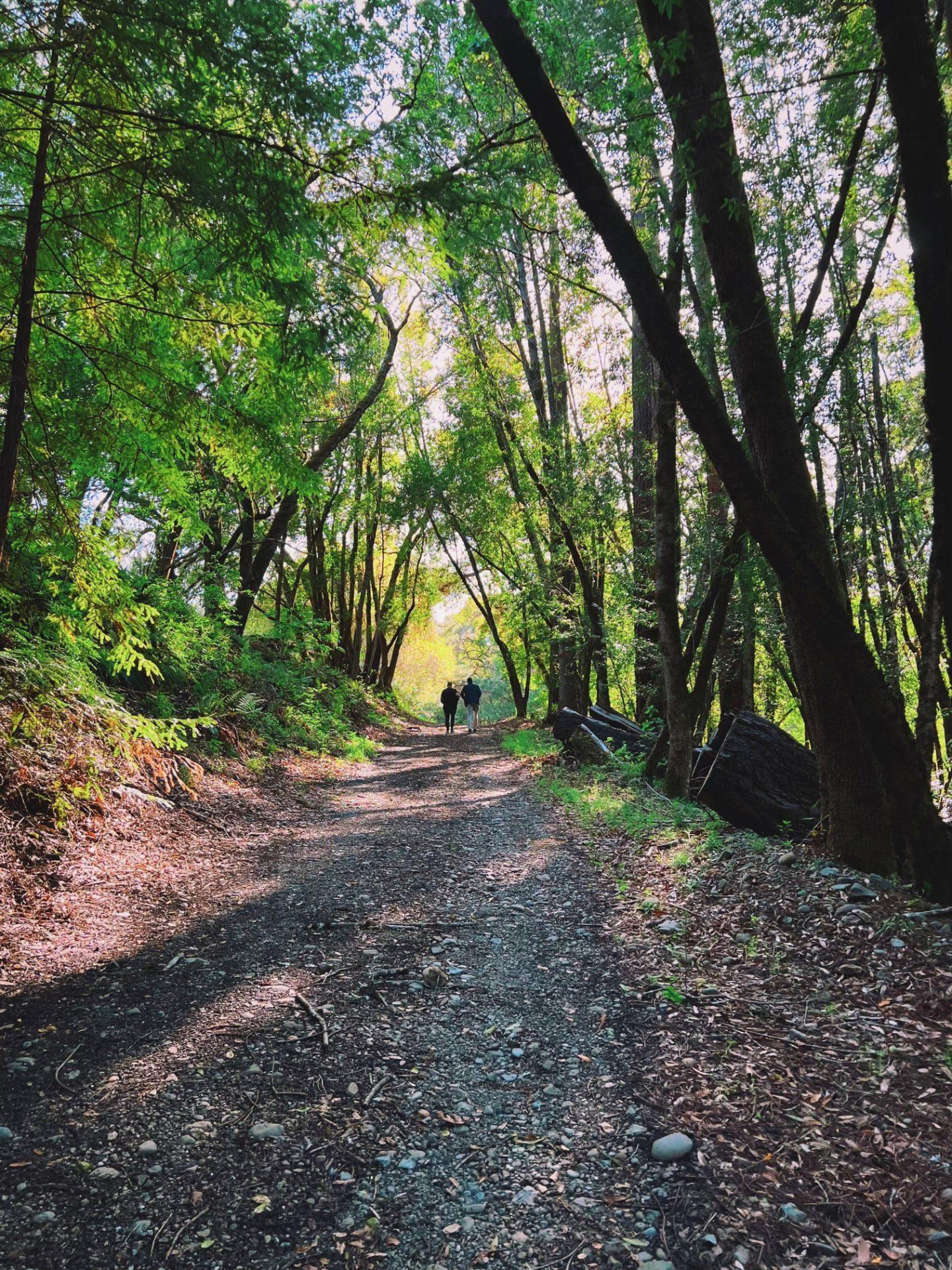 Two guests walking a forest trail on The Land